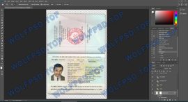 Vietnam Passport